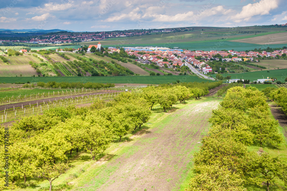 Countryside of southern Moravia