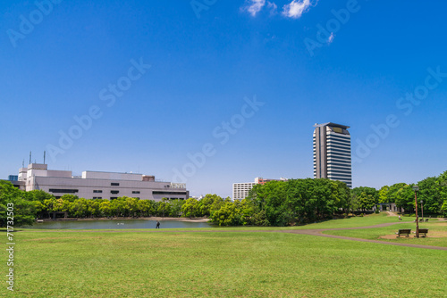 郊外の公園