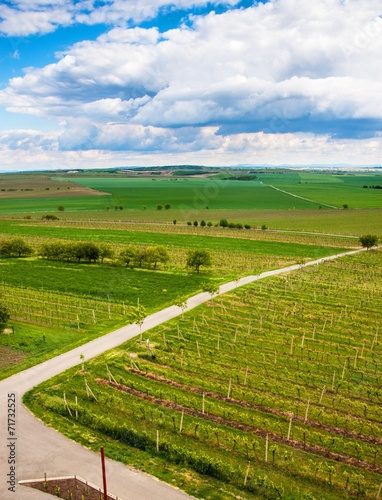 Countryside of southern Moravia