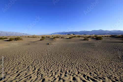 Mesquite Sand Dune, Death Valley