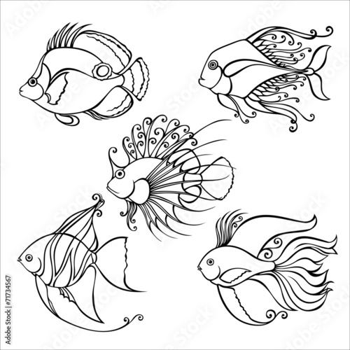 Vector Set of Contour Sea Fishes.