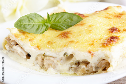 Cannelloni with chicken and mushrooms baked in sauce bechamel