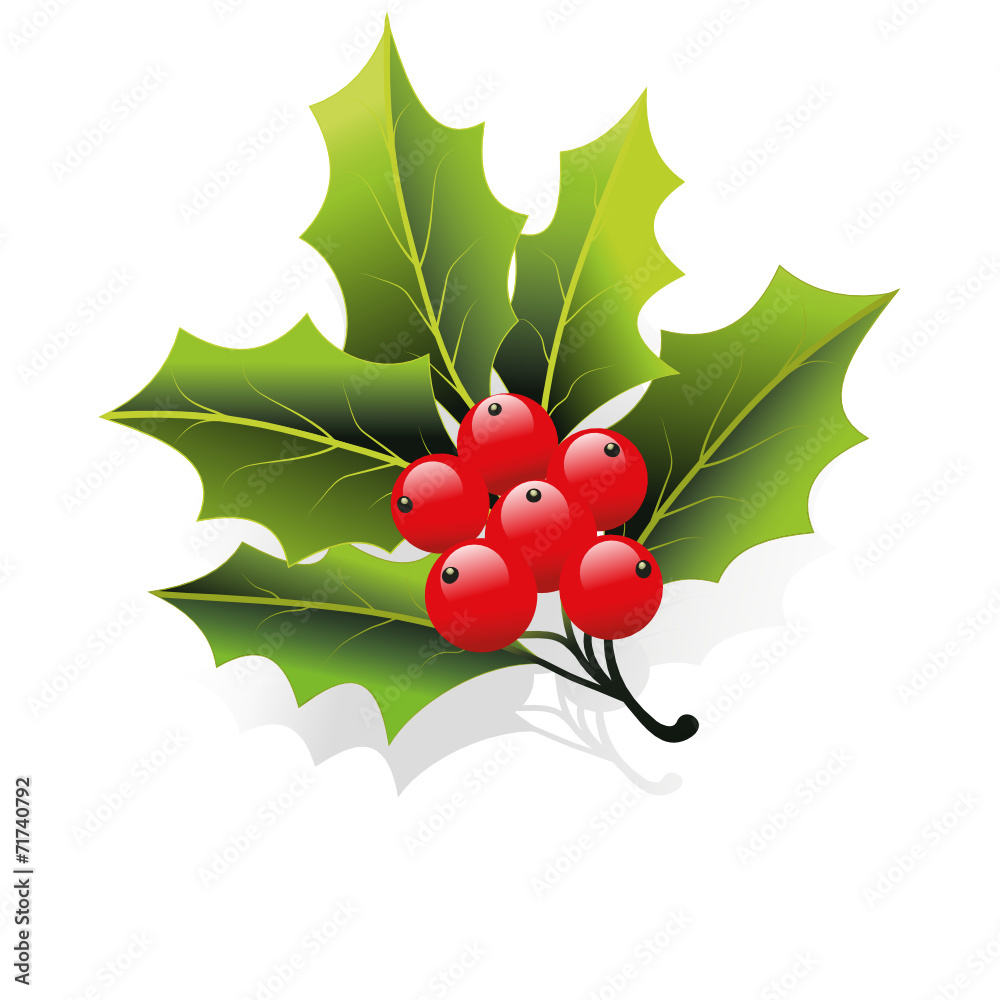 weihnachtsdeko,mistel,zweig,ilex,stechpalme,leaf,immergrün  Stock-Vektorgrafik | Adobe Stock