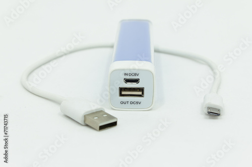 Obraz na płótnie Power Bank w salonie