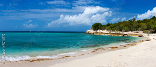 Fototapeta Naklejka Na Ścianę i Meble -  Beautiful beach on St Martin Caribbean