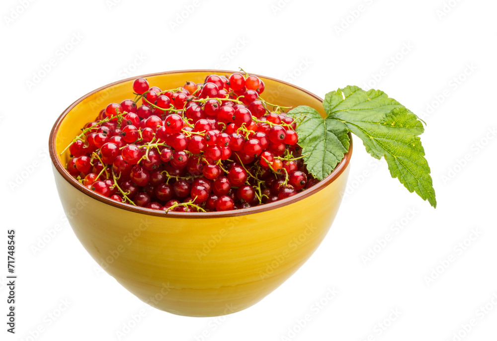 Red currant Red currant