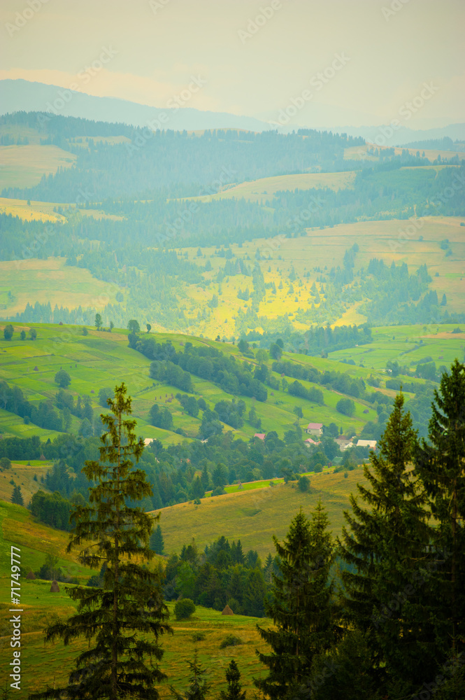 Obraz premium summer in the mountains. Carpathian, Ukraine, Europe.