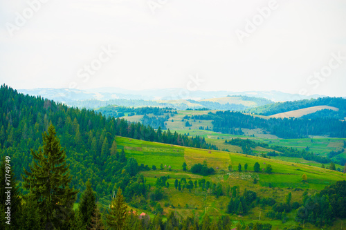 summer in the mountains. Carpathian, Ukraine, Europe.