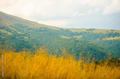 summer in the mountains. Carpathian, Ukraine, Europe.