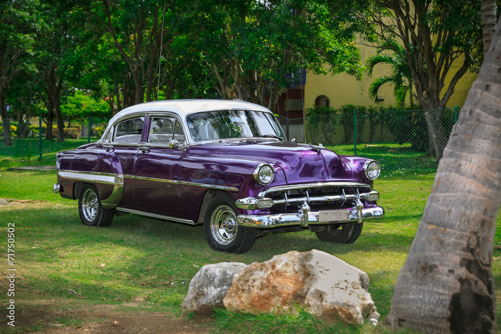 Purple classic vintage, retro car standing in tropical garden