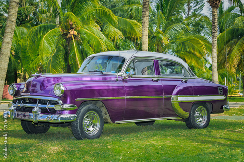 vintage beautiful classic car parked in tropical garden © Vit