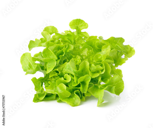 Fresh green Lettuce salad isolated on white