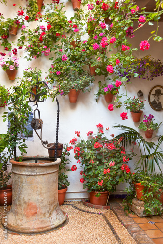 Courtyard with Flowers decorated and Old Well