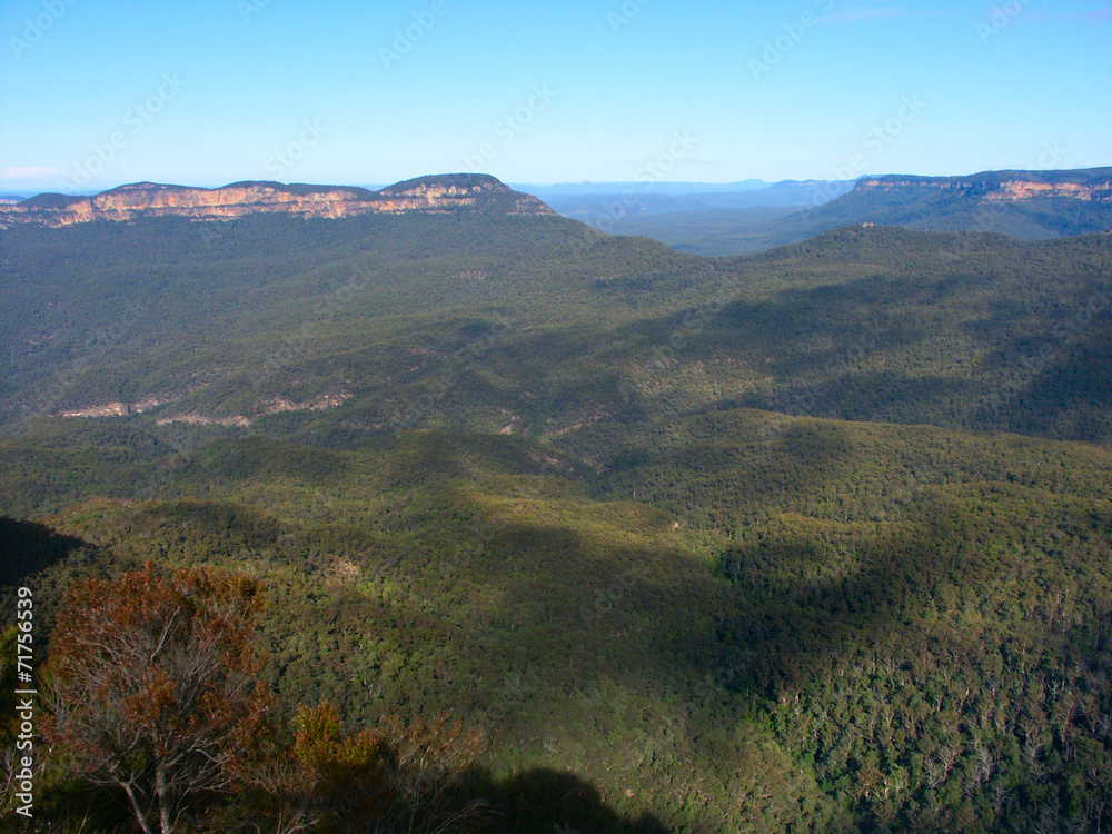Blue Mountains Landscape Australia