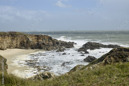 Côte sauvage , presqu'île guérandaise, Pays de la Loire, 44 photo