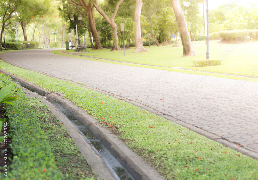 Obraz premium Paved Path in a Beautiful Formal Garden