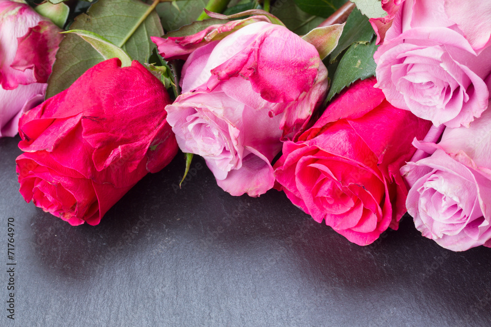 red and pink  roses  on table - obrazy, fototapety, plakaty 