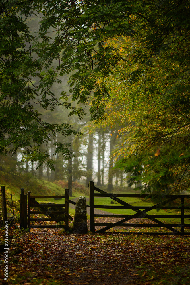 Autumn in Dartmoor National Park
