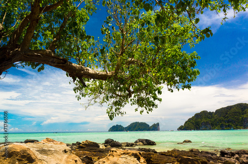 Fototapeta Naklejka Na Ścianę i Meble -  Idyllic Coast Exotic Paradise