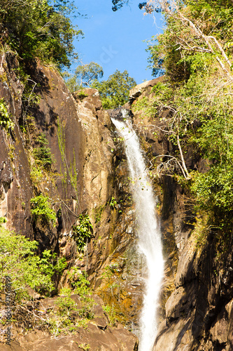Jungle Scene Waterfall Divine