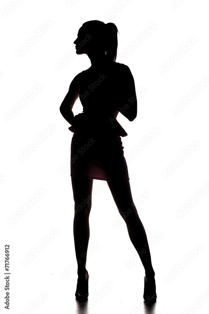 silhouette of young beautiful lady on white silhouette of young beautiful lady on white