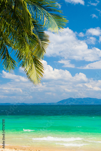 Idyllic Coast Jungle and Sea