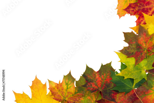 Autumn backdrop - frame composed of colorful autumn leaves