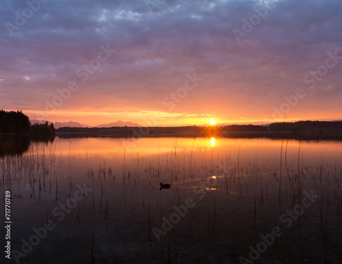 Abendd  mmerung am Forggensee im Ostallg  u