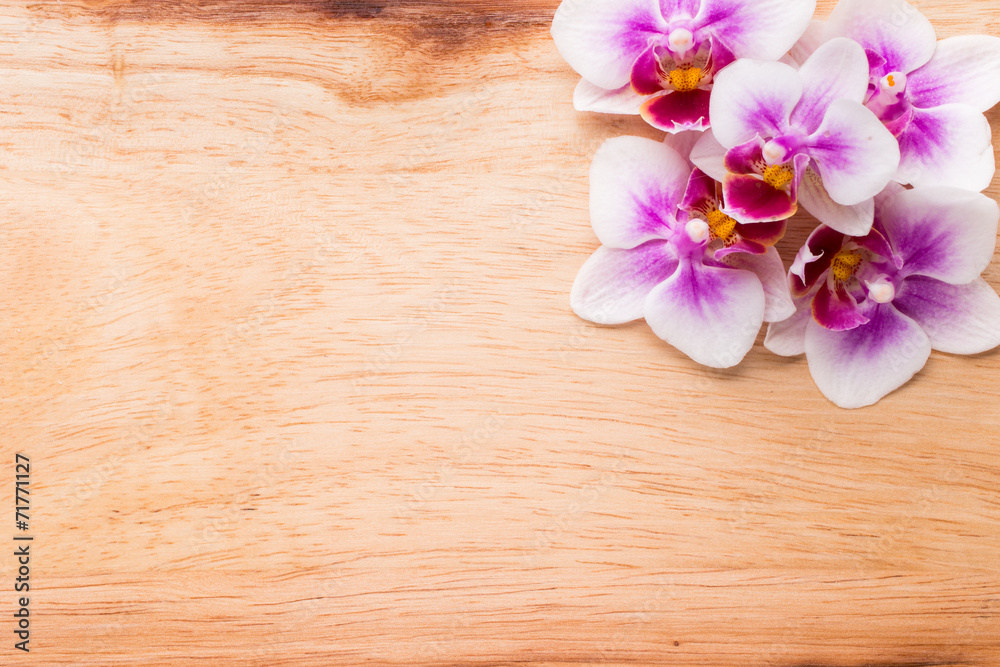 Orchid. Orchid.