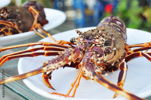 Tropical Rock lobster on plate