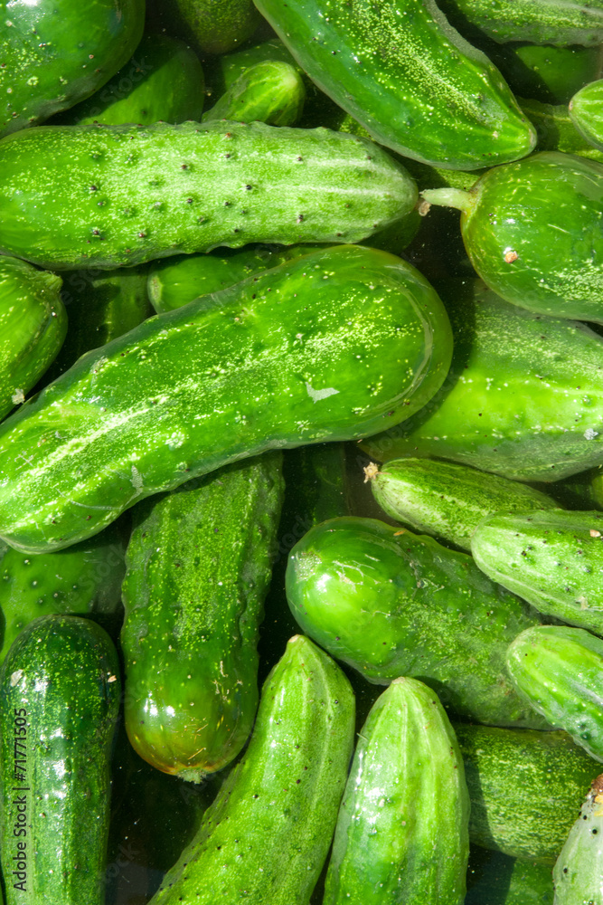 cucumbers