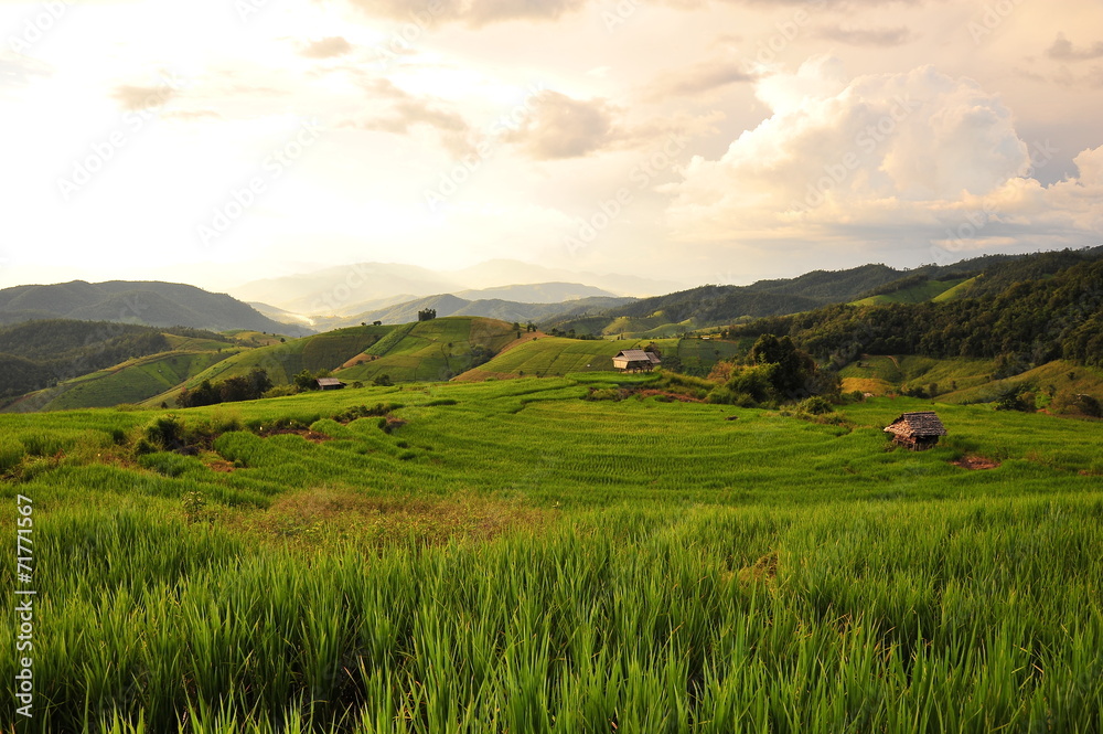 Rice Terraced Fields Landscape at Sunset