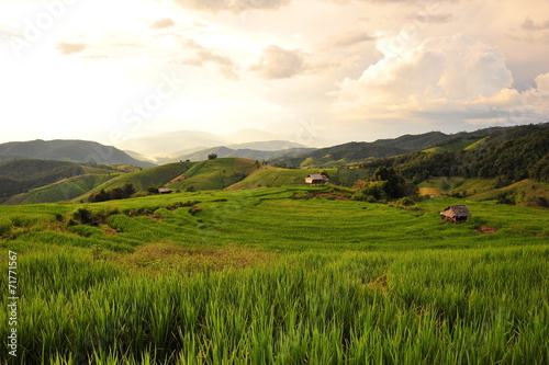 Rice Terraced Fields Landscape at Sunset © karinkamon