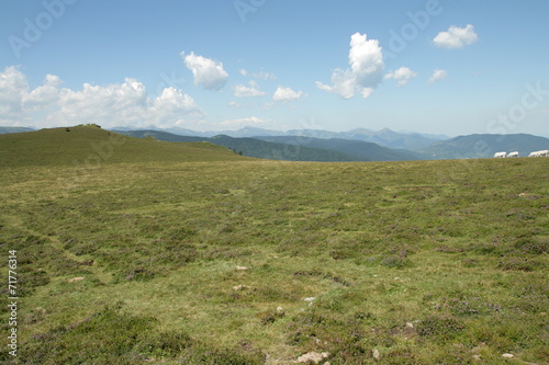 Haute vall  e de l aude