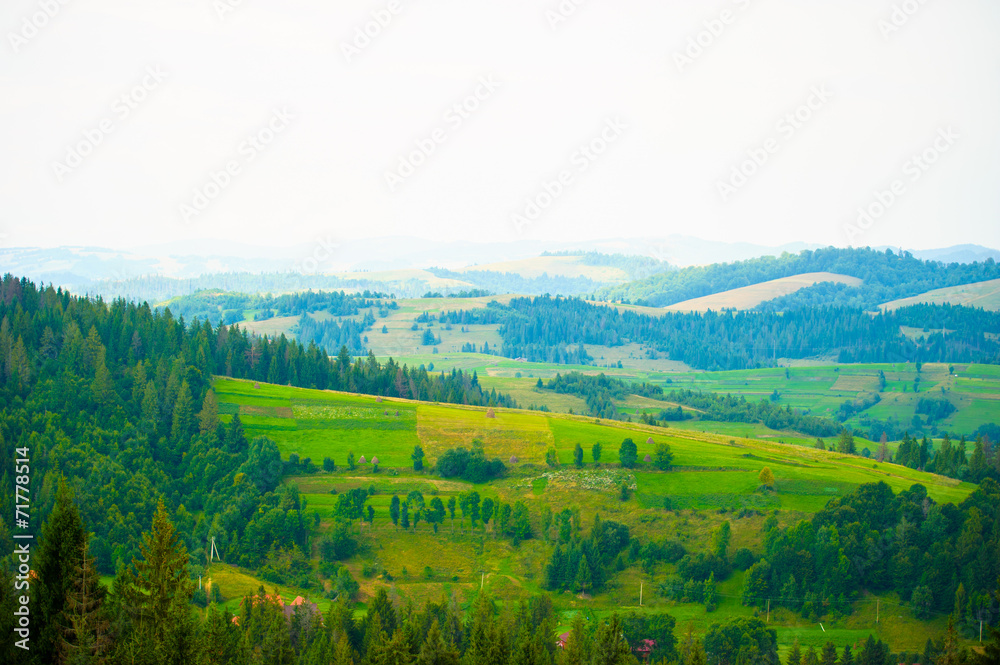 summer in the mountains. Carpathian, Ukraine, Europe.