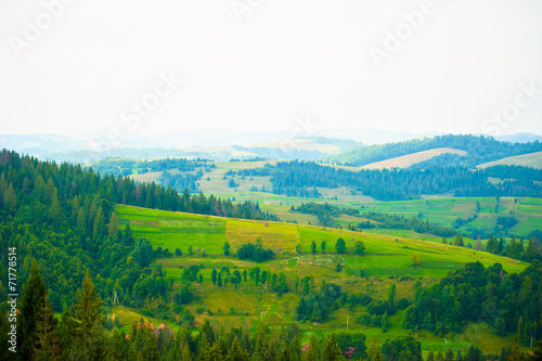 Fototapeta Naklejka Na Ścianę i Meble -  summer in the mountains. Carpathian, Ukraine, Europe.