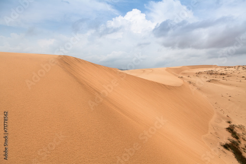 White sand dunes  Mui Ne  Vietnam