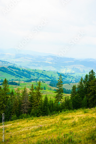 summer in the mountains. Carpathian, Ukraine, Europe.