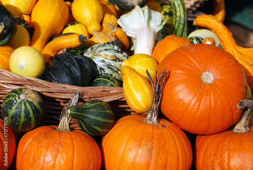 Pumpkins, edible and decorative
