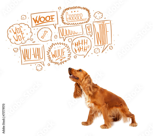 Fototapeta Naklejka Na Ścianę i Meble -  Cute dog with barking bubbles
