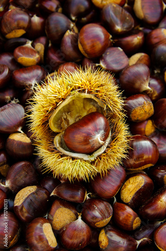 chestnuts on natural background