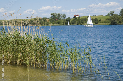 Lake view