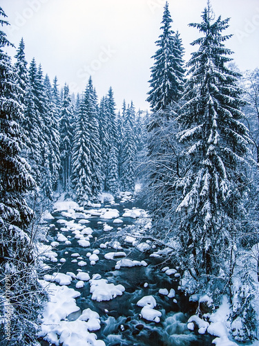 Snowy creek in the woods