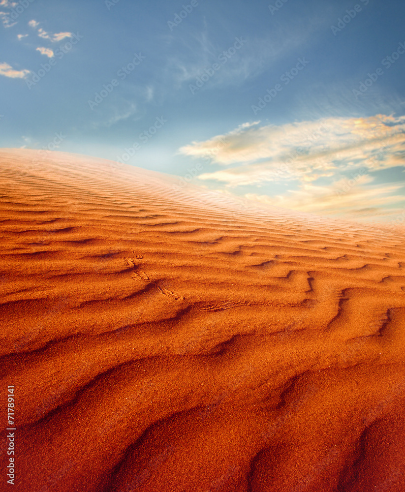 Sunset over the Sahara Desert - obrazy, fototapety, plakaty 