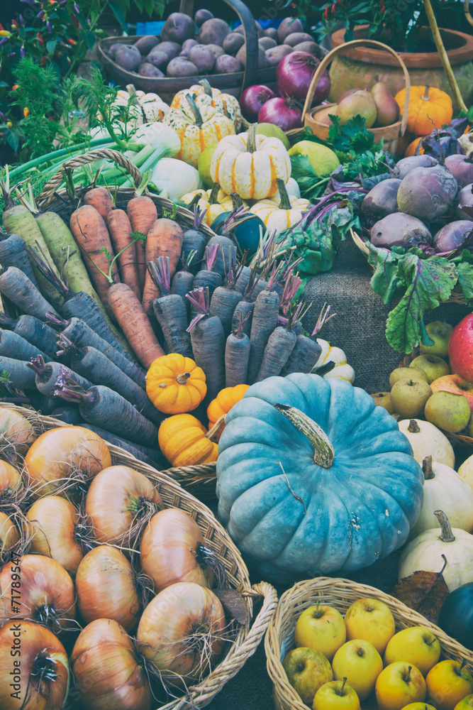 Colorful Autumn Vegetables Display