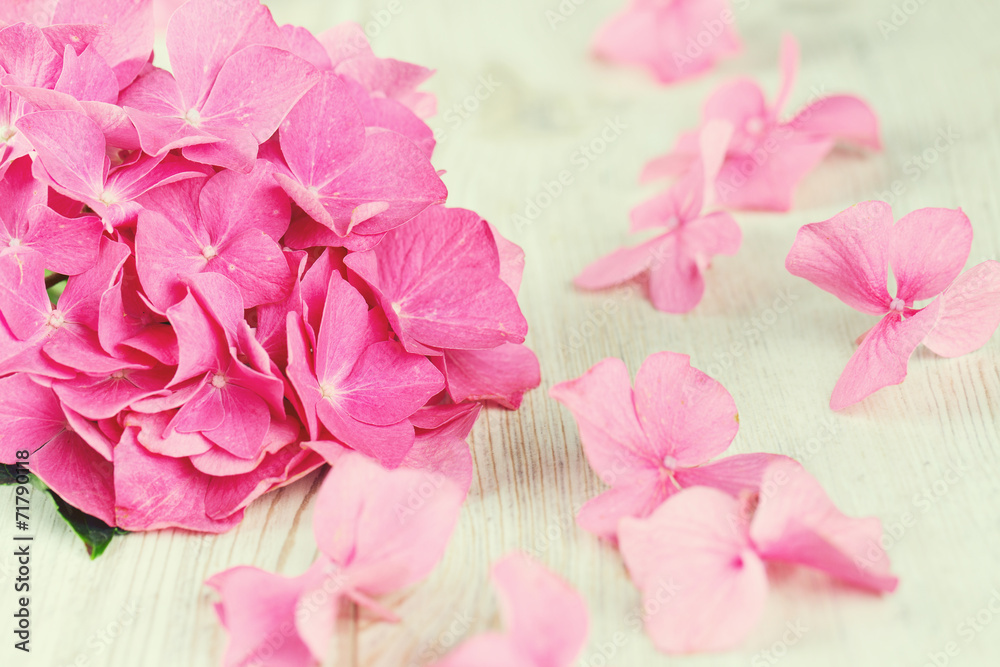 Fototapeta premium hydrangea flower on wooden surface