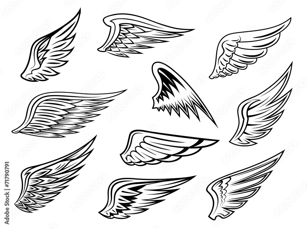 Fototapeta premium Heraldic wings set