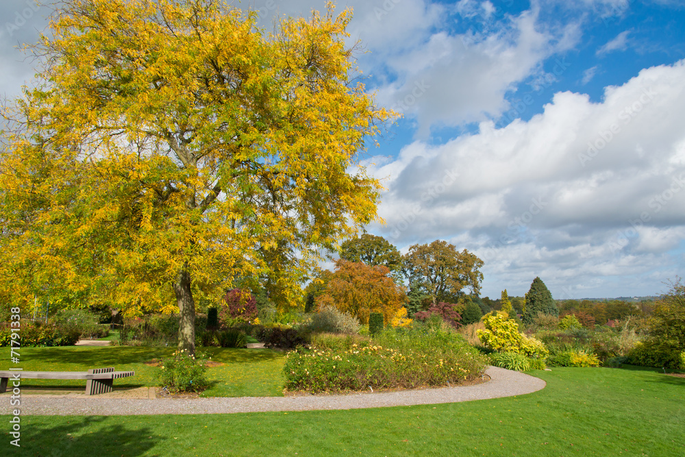 Colorful Autumn in Park