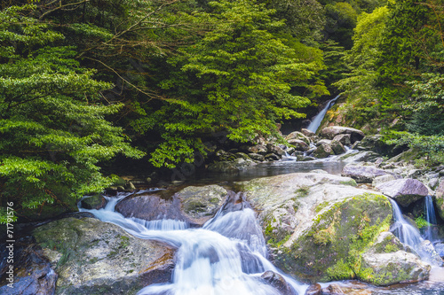 Waterfall in Yakushima Japan