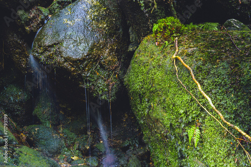 Wasserfall, Yakushima Japan